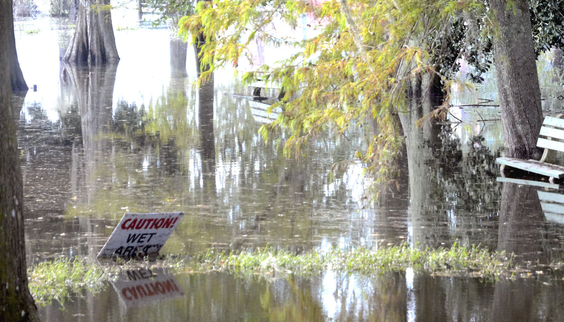 Edisto Gardens flooding